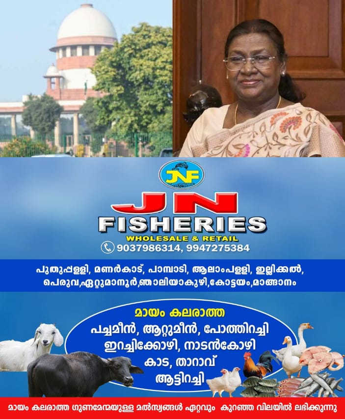 WhatsApp Image 2025-04-13 at 9.21.23 AM