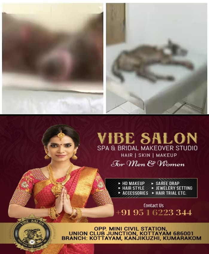 WhatsApp Image 2025-04-16 at 3.50.57 PM