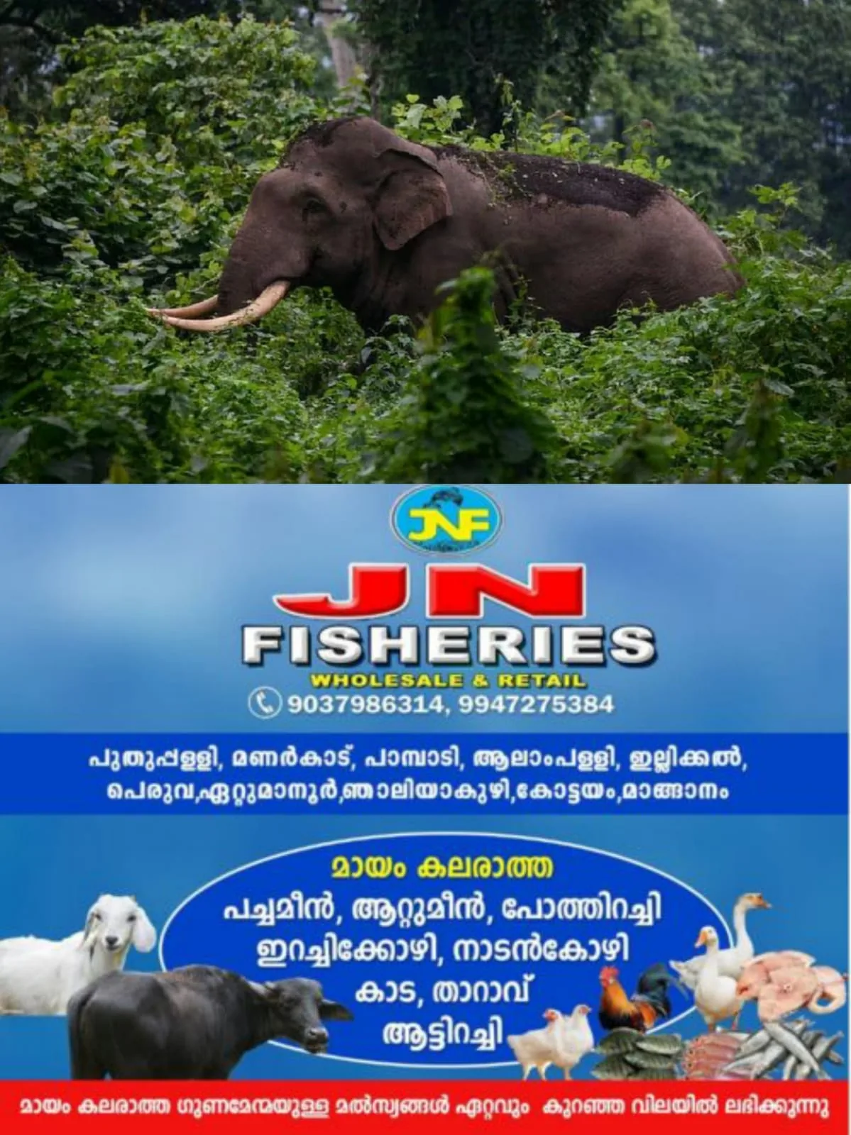 WhatsApp Image 2025-05-01 at 19.50.39