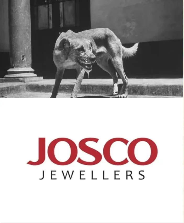 WhatsApp Image 2025-05-03 at 11.14.41 AM