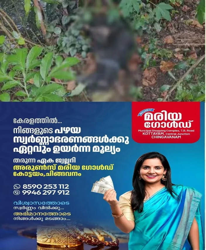 WhatsApp Image 2025-05-13 at 9.48.45 AM