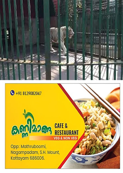 kaduva9