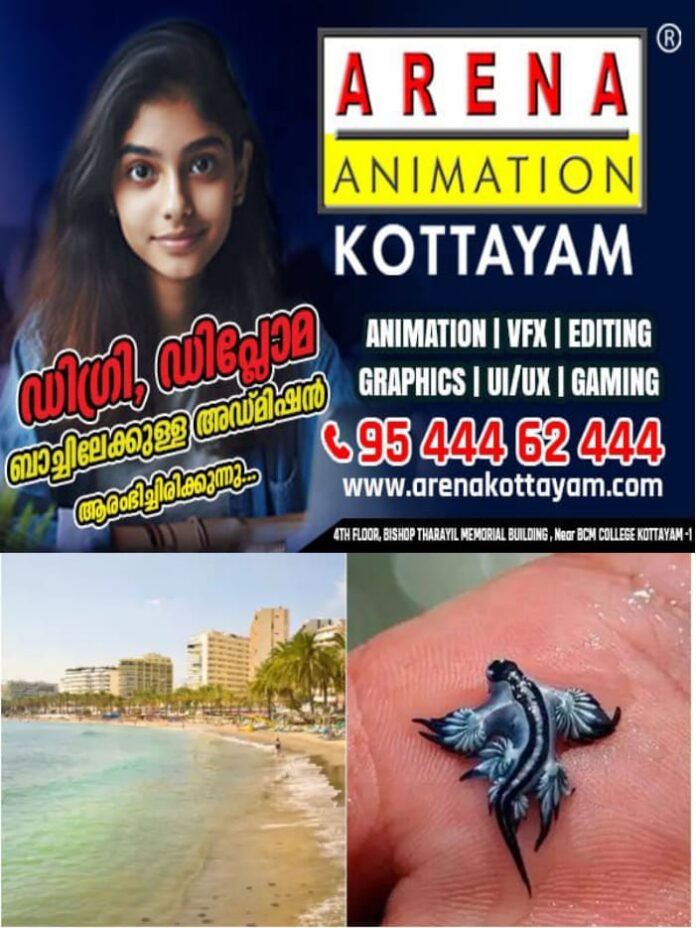 WhatsApp Image 2025-08-28 at 3.21.36 PM