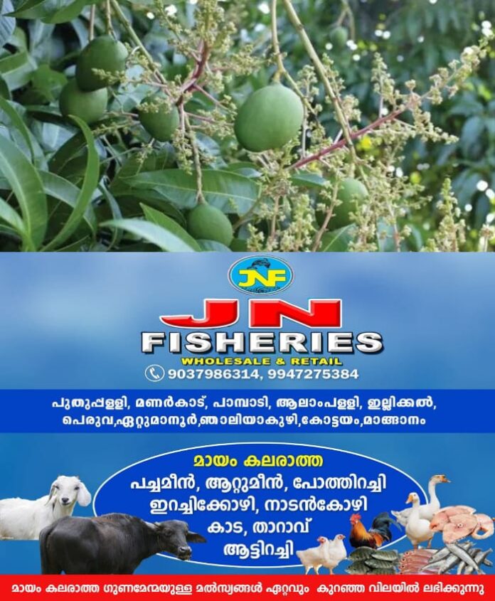 WhatsApp Image 2025-09-19 at 6.33.43 AM