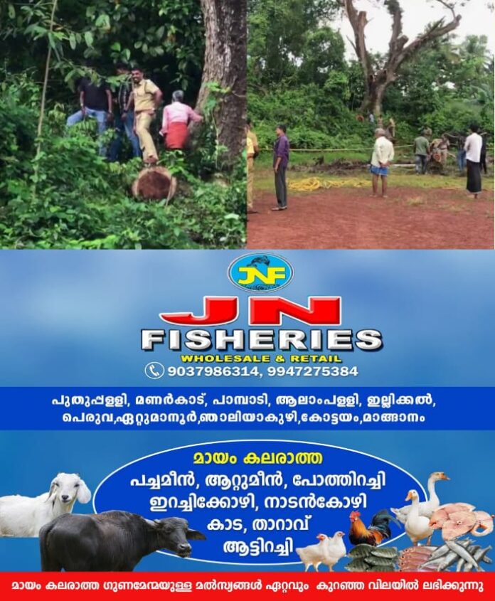 WhatsApp Image 2025-09-21 at 9.30.09 AM