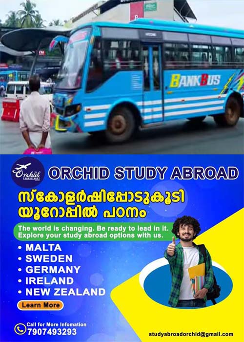 BUS2424