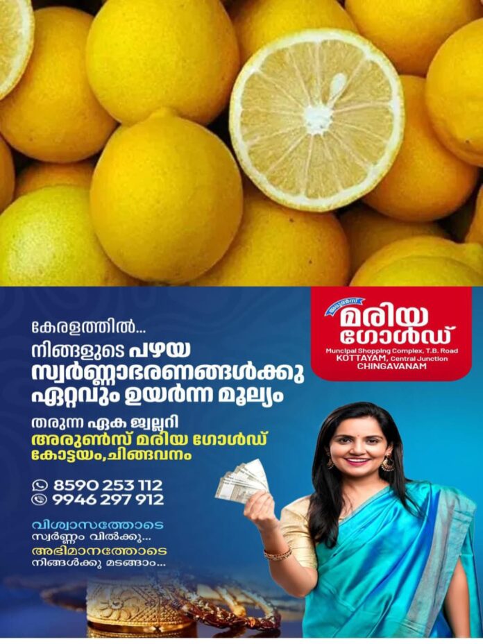 IMG-20251015-WA0022