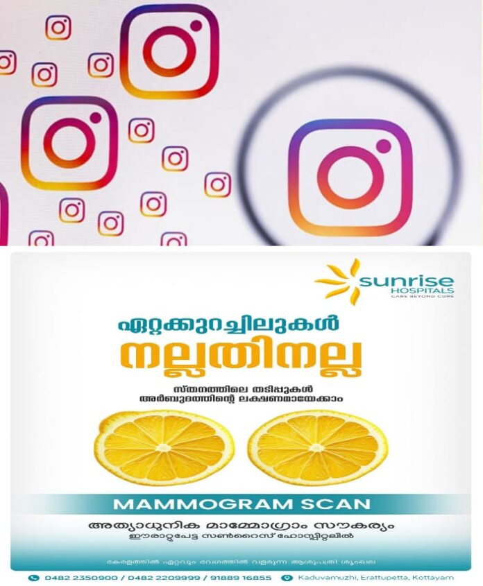 WhatsApp Image 2025-10-05 at 11.51.12 AM