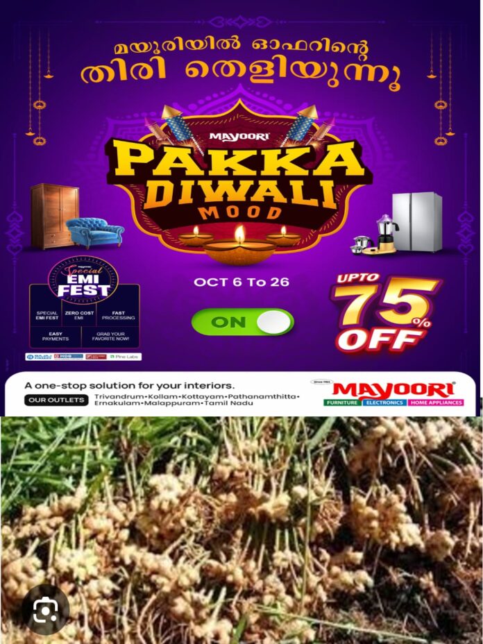 WhatsApp Image 2025-10-10 at 1.37.04 PM