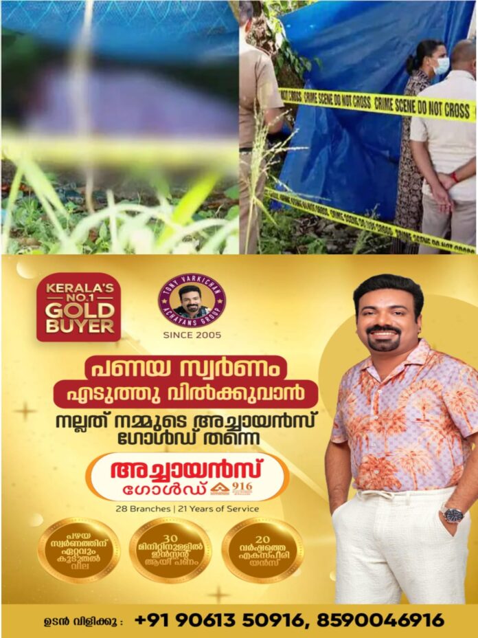 WhatsApp Image 2025-10-11 at 11.17.46 AM