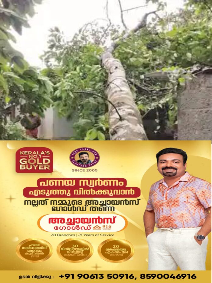 WhatsApp Image 2025-10-13 at 12.48.18 PM