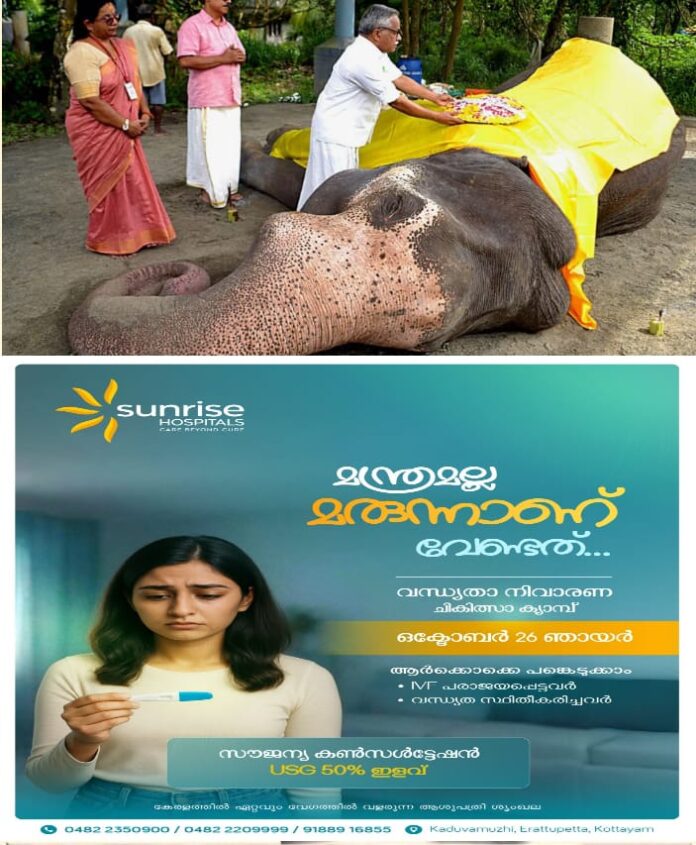WhatsApp Image 2025-10-14 at 12.06.44 PM