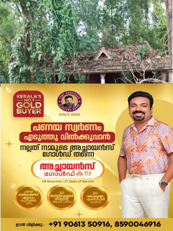 WhatsApp Image 2025-10-14 at 2.15.00 PM