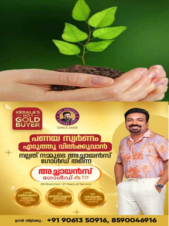 WhatsApp Image 2025-11-01 at 11.54.56 AM