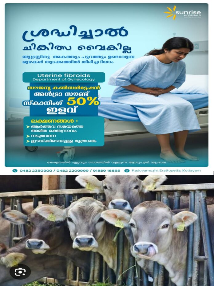 WhatsApp Image 2025-11-24 at 3.27.27 PM