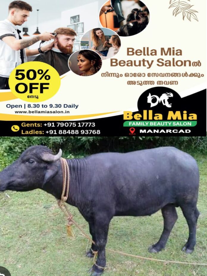 WhatsApp Image 2025-11-25 at 12.26.12 PM