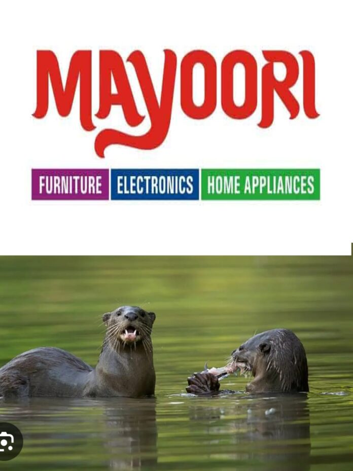 WhatsApp Image 2025-11-28 at 10.08.01 AM