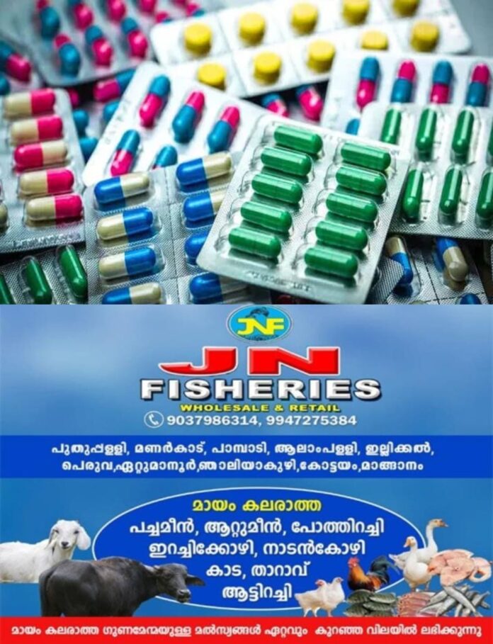 IMG-20251120-WA0046(1)