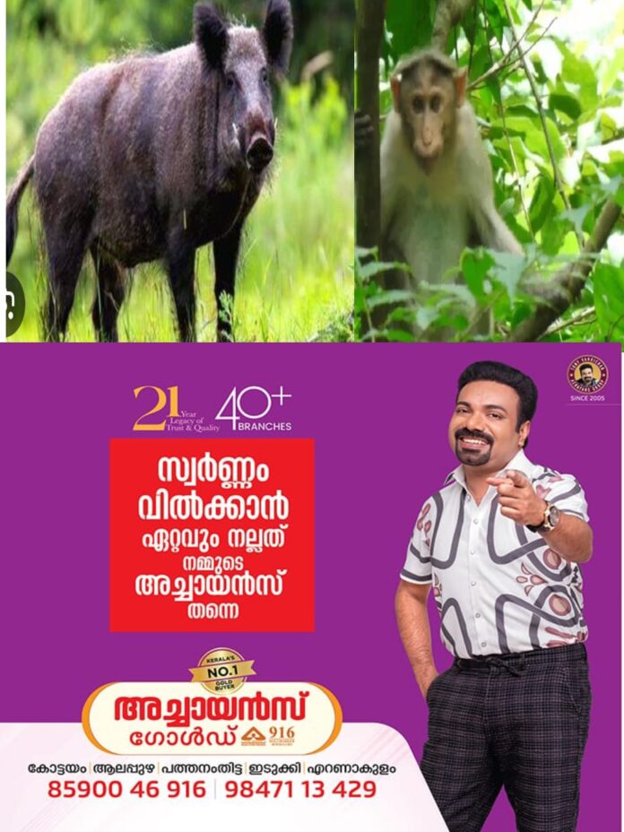 WhatsApp Image 2025-12-01 at 12.20.40 PM