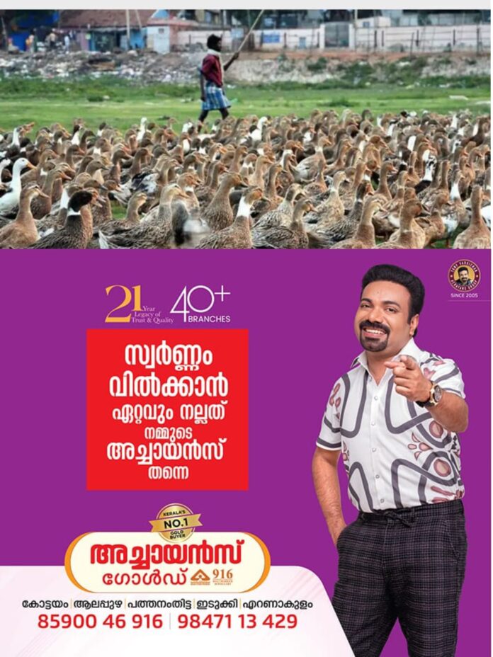 WhatsApp Image 2025-12-23 at 2.44.13 PM