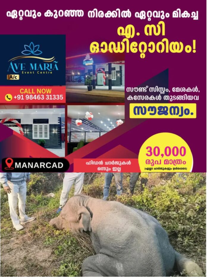 WhatsApp Image 2026-01-17 at 3.54.30 PM