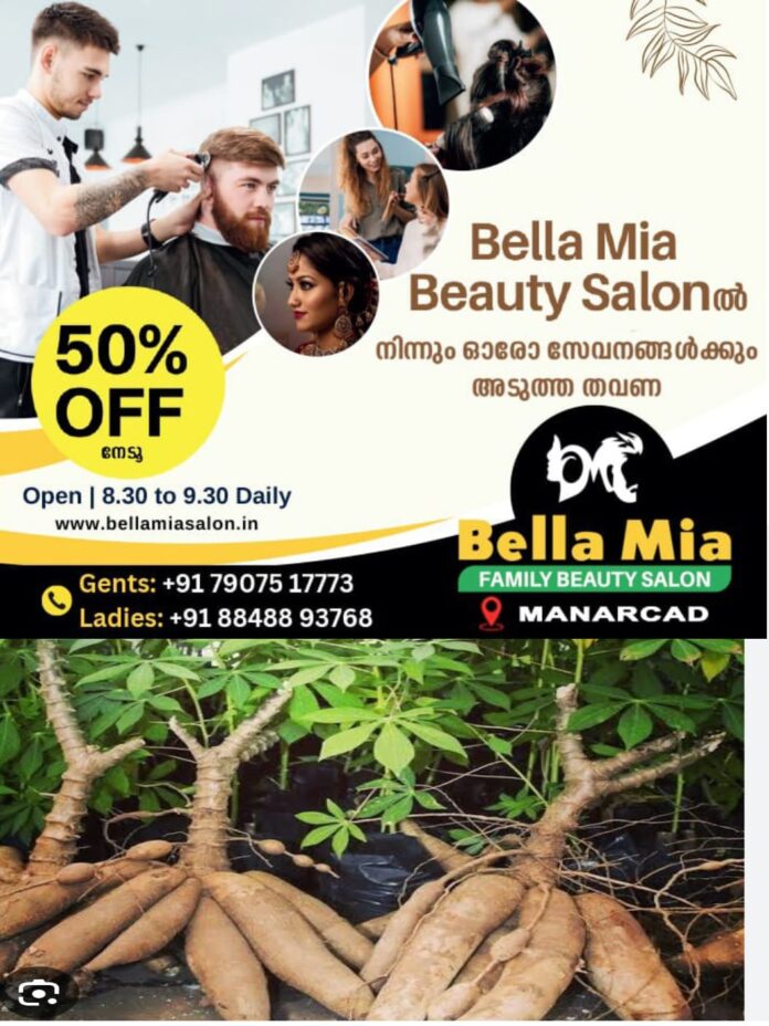 WhatsApp Image 2026-01-30 at 3.53.01 PM