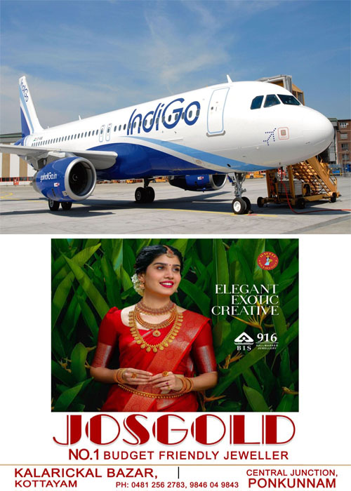 indigo56