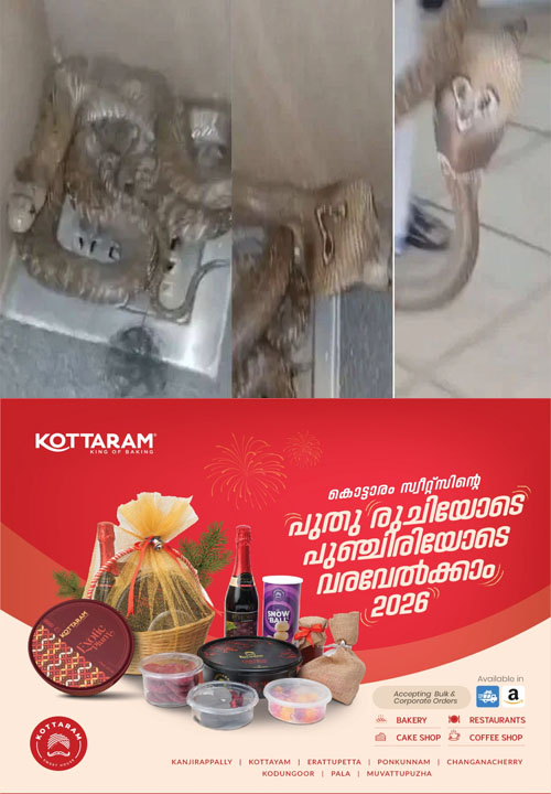 snake kottaram