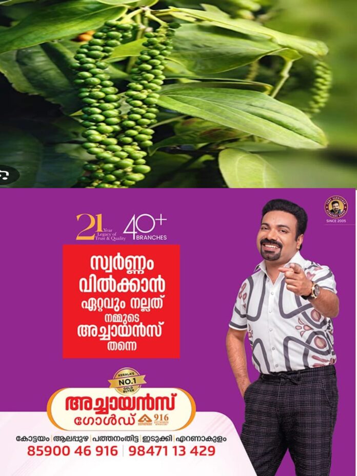 WhatsApp Image 2026-02-01 at 2.00.22 PM