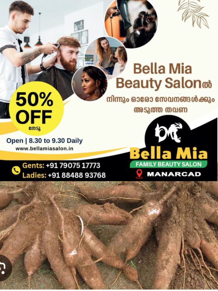 WhatsApp Image 2026-02-20 at 5.34.31 PM