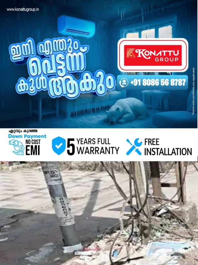 WhatsApp Image 2026-02-23 at 11.32.13 AM