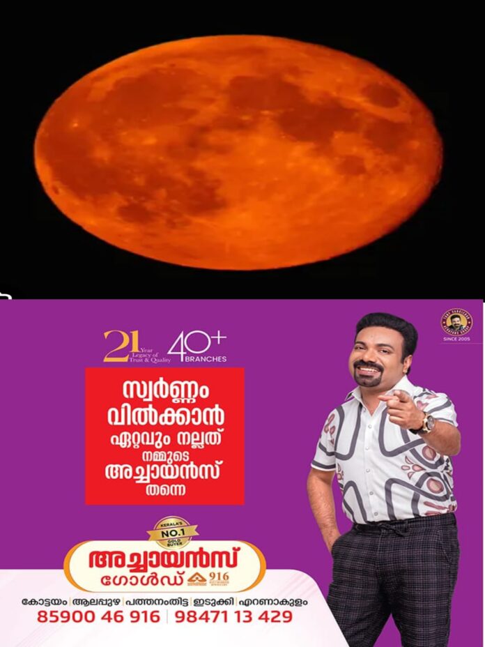 WhatsApp Image 2026-02-23 at 2.27.10 PM