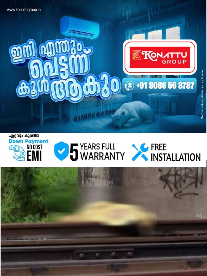 WhatsApp Image 2026-02-24 at 3.26.30 PM