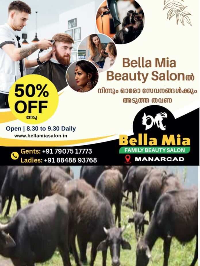 WhatsApp Image 2026-03-04 at 4.28.13 PM