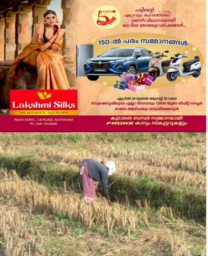 WhatsApp Image 2026-04-29 at 2.41.21 PM