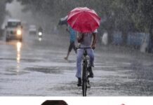 സംസ്ഥാനത്ത് മഴ മുന്നറിയിപ്പില് മാറ്റം; കോട്ടയം ഉൾപ്പടെ 6 ജില്ലകളിൽ യെല്ലോ അലർട്ട് പ്രഖ്യാപിച്ച്