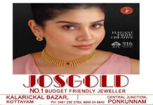 ഒറ്റപ്പാലത്ത് ഭാര്യയെ വീട്ടിലെത്തി കുത്തിപ്പരിക്കേല്പ്പിച്ച് ഭര്ത്താവ്; തടുക്കാൻ ശ്രമിച്ച ബന്ധുക്കള്ക്കും കുത്തേറ്റ് ഗുരുതര പരിക്ക്