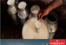 പാല്വില കൂട്ടിയിട്ടും മെച്ചമില്ലെന്ന് ക്ഷീരകര്ഷകര്; പരിപാലനച്ചെലവ് കുതിച്ചുയരുന്നതായി പരാതി; ലഭിക്കുന്നത് തുച്ഛമായ ലാഭം മാത്രം…!