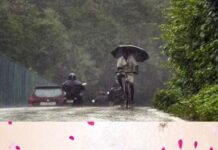 കോട്ടയം ഉൾപ്പെടെ 9 ജില്ലകളിൽ യെല്ലോ അലർട്ട്; കേരളത്തില് അടുത്ത അഞ്ചുദിവസം മഴയ്ക്ക് സാധ്യതയെന്ന് കേന്ദ്ര കാലാവസ്ഥ വകുപ്പ്