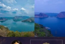 നല്ല മഴയും മഞ്ഞും…! ഈ ഭംഗി ആസ്വദിക്കാൻ ഇഡുക്കി ഡാം കാണാൻ പോയാലോ; സമയവും, ടിക്കറ്റ് നിരക്കും അറിയാം