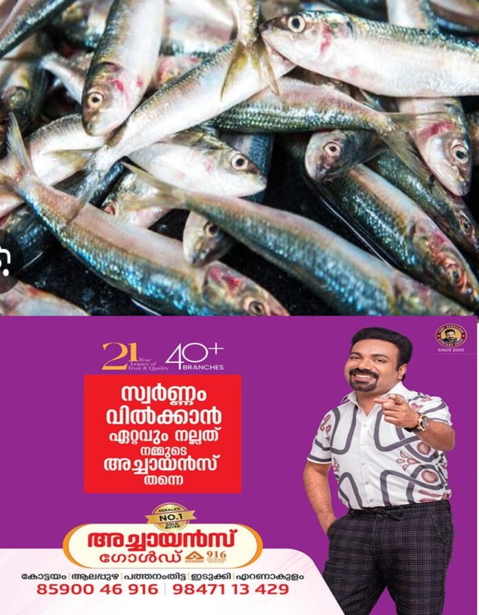 WhatsApp Image 2026-05-21 at 11.26.22 AM