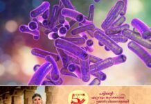 കോഴിക്കോട് പെരുമണ്ണയില് രണ്ട് കുട്ടികള്ക്ക് ഷിഗല്ല സ്ഥിരീകരിച്ചു