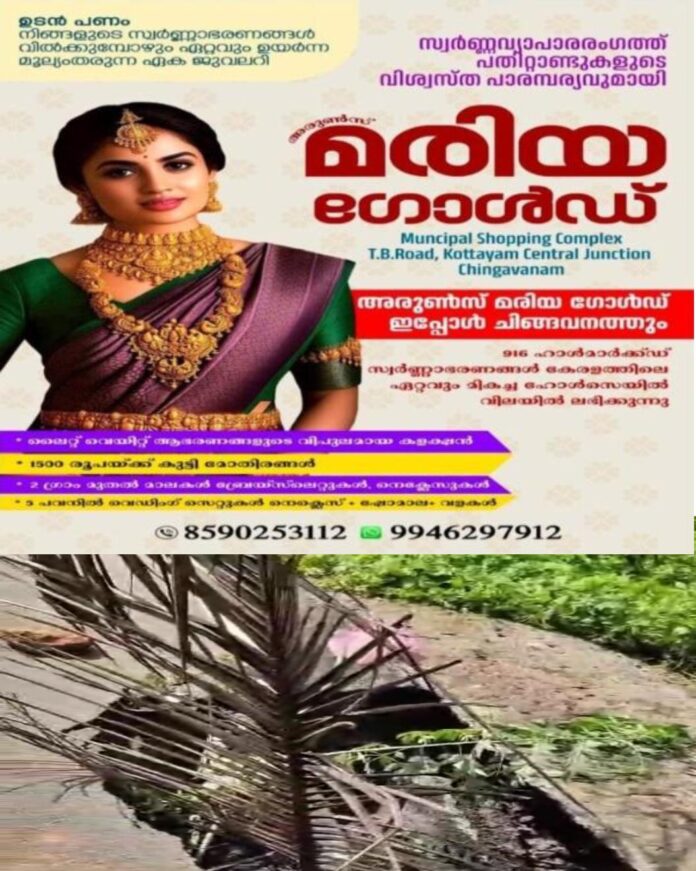 WhatsApp Image 2026-05-29 at 12.09.04 PM