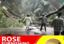 വടക്കൻ കേരളത്തിൽ മഴ ശക്തം;വയനാട് ചുരത്തിൽ മരം പൊട്ടിവീണ് വൻ ഗതാഗതക്കുരുക്ക്