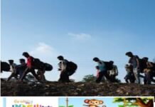 ഭായിമാരെ മടങ്ങിവരും…;വോട്ടിന് പോയ ഭായിമാർ തിരിച്ചെത്തിയില്ല;നിർമാണമേഖല പ്രതിസന്ധിയിൽ