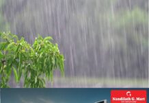 സംസ്ഥാനത്ത് വരും ദിവസങ്ങളിലും ഇടിമിന്നലോടെ മഴ തുടരും;14 മുതൽ വടക്കൻ ജില്ലകളിൽ മഴയുടെ തീവ്രത വർധിക്കും