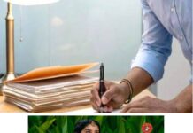 ഭരണം തുടങ്ങുമ്പോഴേയ്ക്കും സ്ഥലംമാറ്റം;ആശങ്കയിൽ ഉദ്യോഗസ്ഥർ;സ്ഥലംമാറ്റങ്ങൾക്കെതിരെ എൻ.ജി.ഒ യൂണിയൻ അടക്കം ഇടതുപക്ഷ സംഘടനകൾ പ്രതിഷേധത്തിൽ