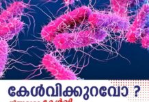 ഷിഗെല്ല സ്ഥിരീകരണം; വയനാട് കോളിയാടി മാര് ബസേലിയോസ് സ്കൂളിന് ഒരാഴ്ച അവധി പ്രഖ്യാപിച്ചു