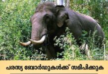 സംസ്ഥാനത്ത് വീണ്ടും കാട്ടാനക്കലി; വയനാട് കാട്ടാന ആക്രമണത്തില് ഒരാൾക്ക് ദാരുണാന്ത്യം