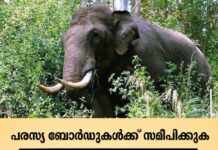 വീണ്ടും ജീവനെടുത്ത് കാട്ടാന; ഇടുക്കി ചിന്നക്കനാലിൽ യുവതി മരിച്ചു, ആക്രമണം ഉണ്ടായത് മകനെ സ്കൂളിൽ കൊണ്ടുവിടാൻ പോയ സമയത്ത്
